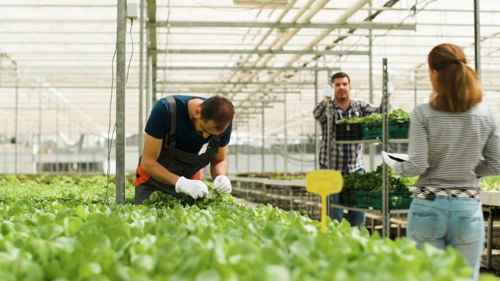 فروشگاه اینترنتی کود