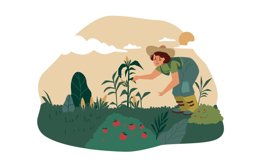 بهترین کود مایع