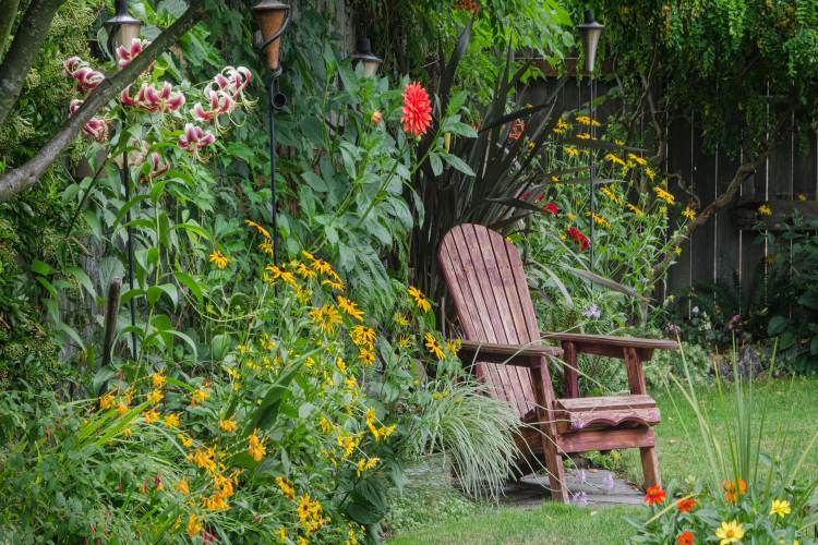 بهترین گیاهان برای حیاط خانه