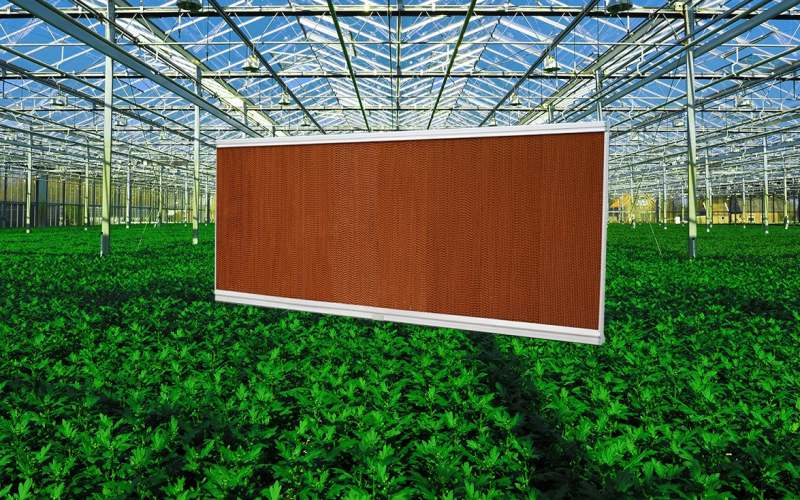 دیوار خیس گلخانه چیست