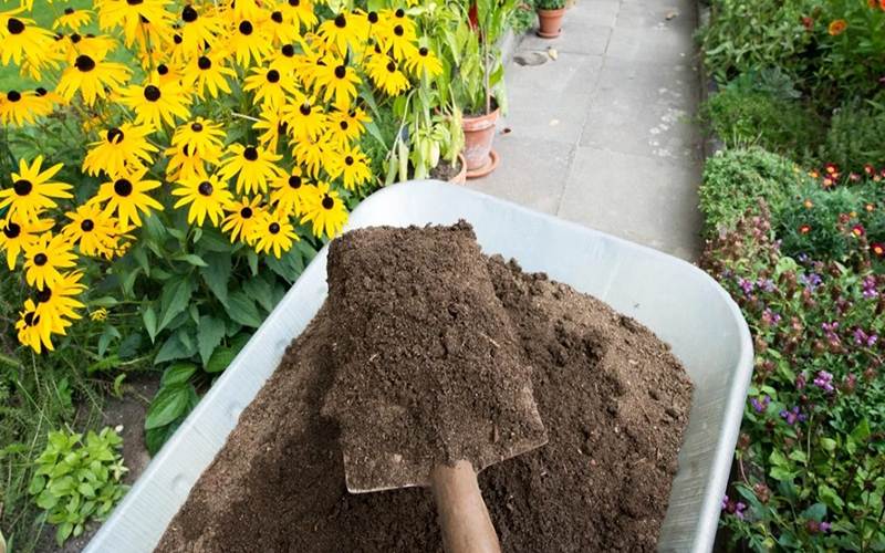 چه زمانی خرید کود اشتباه است