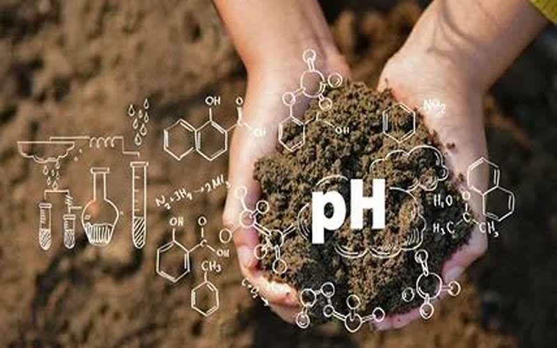 pH برای استفاده در کشاورزی و کوددهی