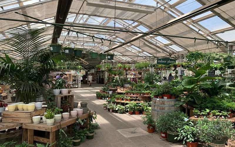 جلوگیری از هجوم آفات به گلخانه