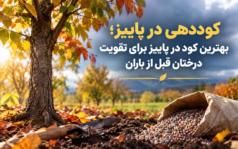 بهترین کود در پاییز