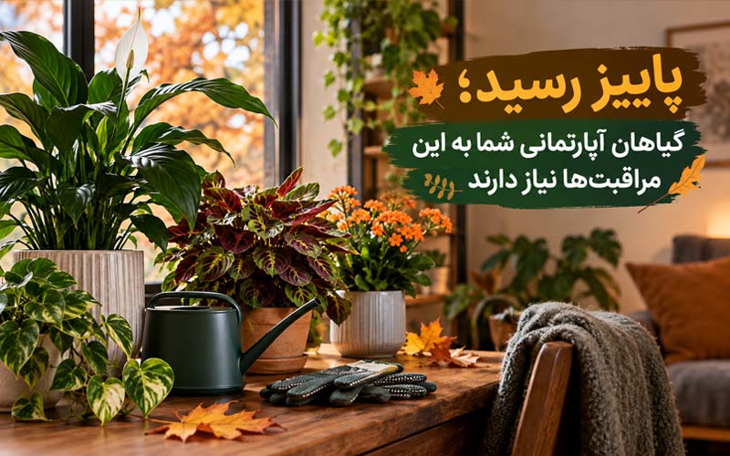 مراقبت از گیاهان آپارتمانی در پاییز
